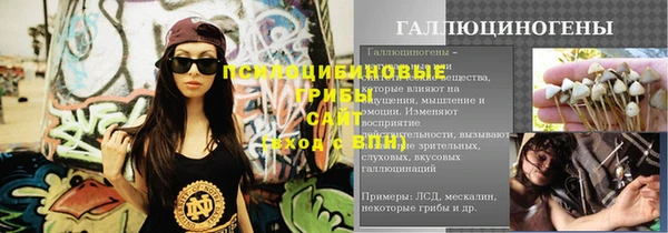 дурь Верея