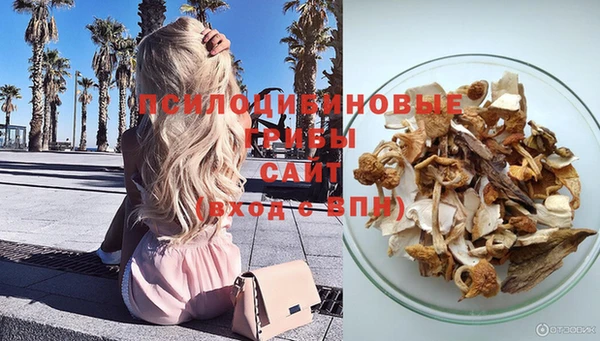дурь Верея