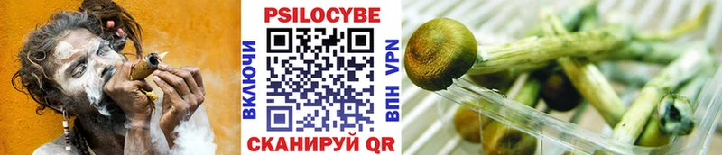 Псилоцибиновые грибы Magic Shrooms  Купить  Когалым 